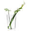 Váza Alvar Aalto 25,1 cm, číre sklo