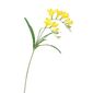 Umetno cvetje Freesia rumena, 57 cm