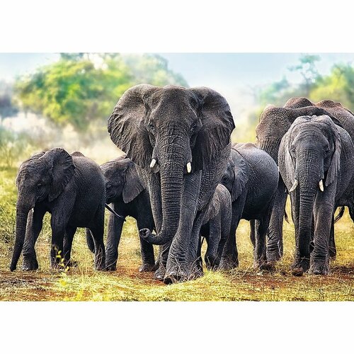 Levně Puzzle Trefl 10442 Afričtí sloni 1000 dílků