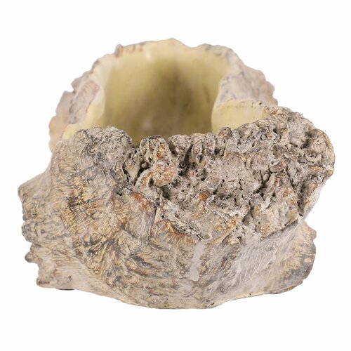 Obal na květiny vykotlaný kořen, 35 x 16 x 11 cm, beton