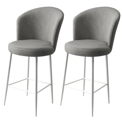 Barstuhl-Set Fora Grey and White, 2 Stück