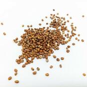 Plastia Microgreens štartovacia sada