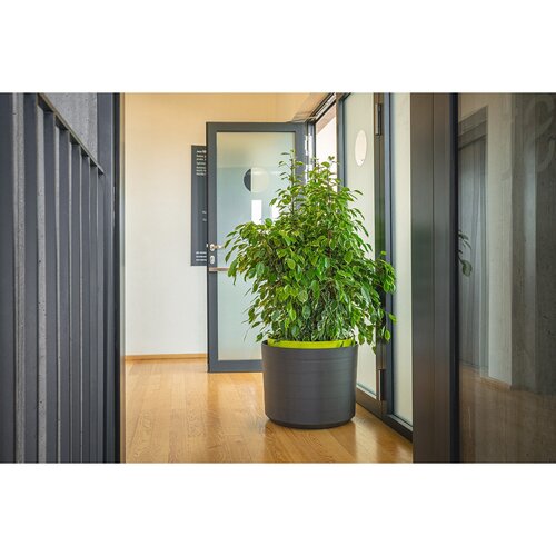 Plastia Selbstbewässernder großvolumiger Blumentopf Berberis 55, anthrazit + grün