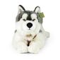 Rappa Plüss husky hámmal 60 cm ECO - FRIENDLY