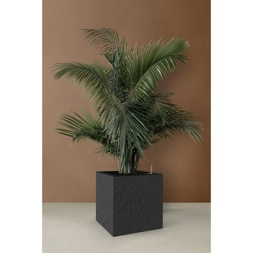 Flower Lover Samozavlažovací květináč Cubico Stoneantracit, 27 cm
