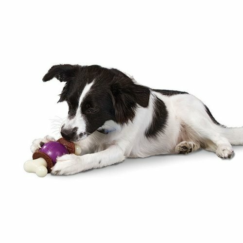Іграшка для собак Bouncy Bone™ M
