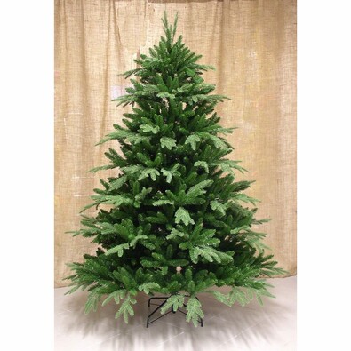 Jedľa Frasier zelená, 210 cm