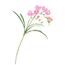Művirág Freesia rózsaszín, 57 cm
