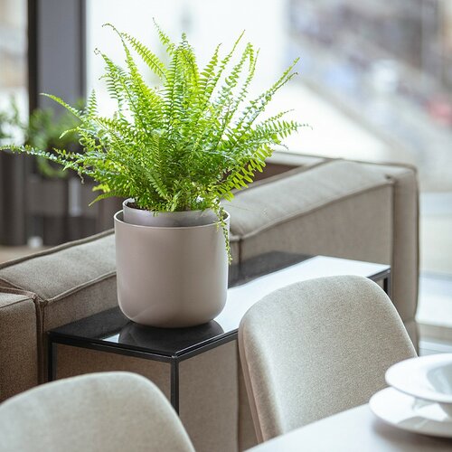 Plastia Selbstbewässernder Blumentopf Tolita Braun, Durchmesser 19 cm