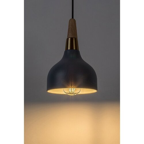 Rabalux 72135 moderní závěsný lustr Drusilla, šedá, E27, 1x max. 40W