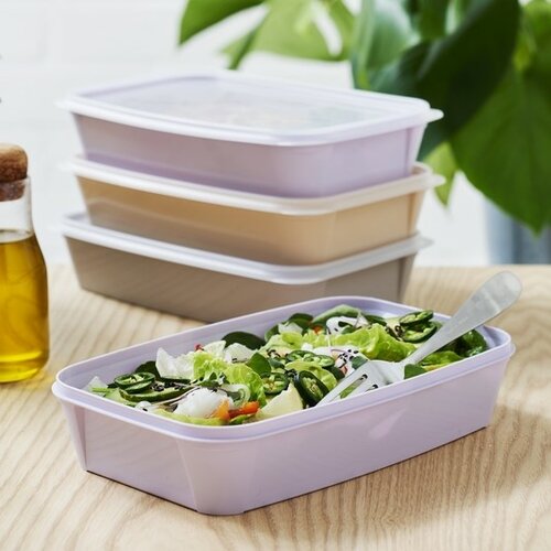 SmartStore Plastová dóza Lunch Box, 1200 ml, levanduľa