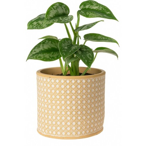 Mască de ghiveci Landon, 14 x 13 cm, beton