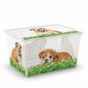 KIS Dekorační úložný box C-Box Puppy & Kitten XL, 50 l