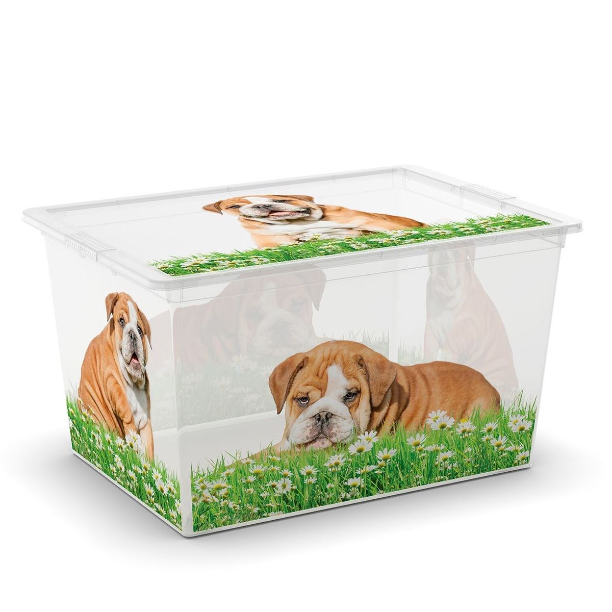 KIS Plastový úložný box C-Box Puppy & Kitten XL s kolečky, 50 L