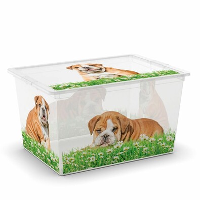 KIS Dekoračný úložný box C-Box Puppy & Kitten XL, 50 l