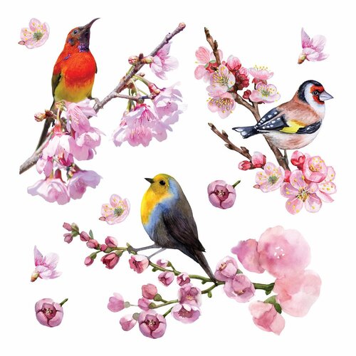 Samolepicí dekorace Birds, 30 x 30 cm
