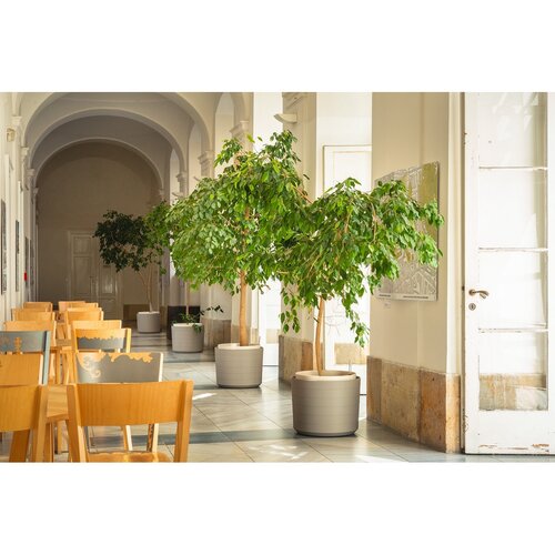 Plastia Samonawadniająca donica wielkogabarytowa Berberis 55, taupe + kość słoniowa