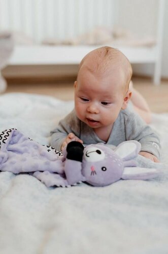 Usínáček babyted Zajíček, kousátko, chrastítko plyš 25 x 25 cm, fialová