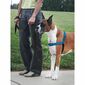 PetSafe povodec EasyWalk Deluxe blue velikost S