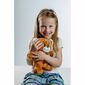 Teddies Hovoriaci medveď Vojtík, 30 cm
