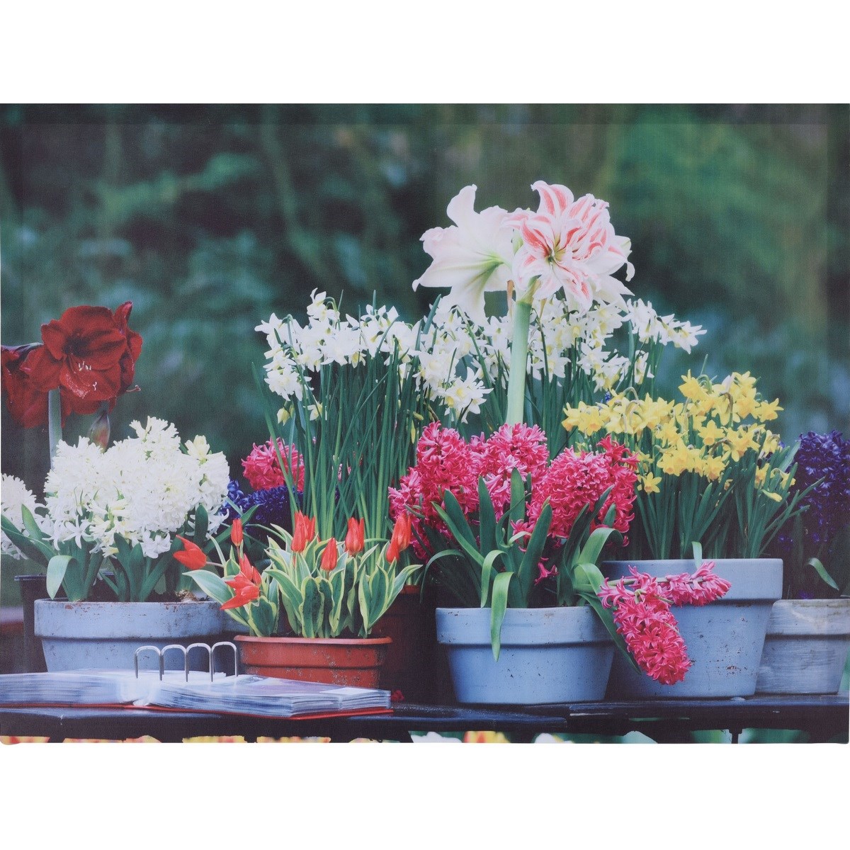 Obraz na plátne Apeldoom, 74 x 58 cm