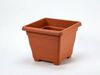 Plastia Blumentopf Begonia 60 x 60, Braun