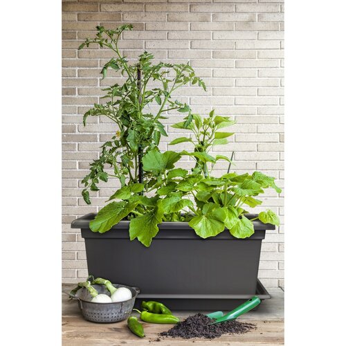 Gardenico großvolumiger Pflanzbehälter Magnus Anthrazit, 80 cm