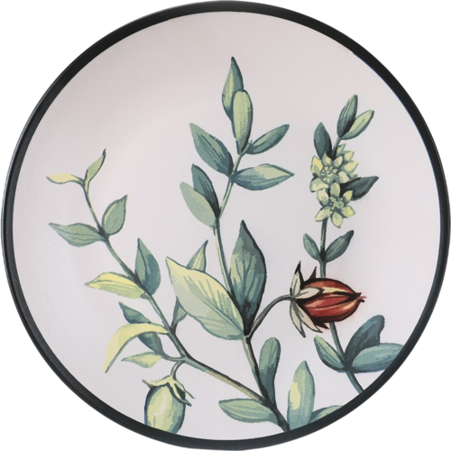 Súprava 6 kameninových plytkých tanierov Herbal 25 cm