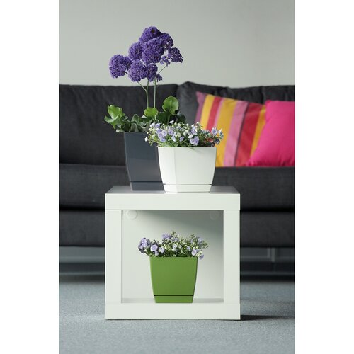 Kunststoff-Blumenkasten Coubi Case mit   Untersetzer Weiß, 39 cm