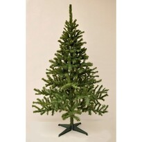 Vianočný stromček Smrek kanadský, 180 cm Vianočný stromček Smrek kanadský, 180 cm