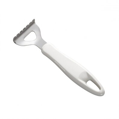 Tescoma Răzuitoare pentru pește PRESTO, inox
