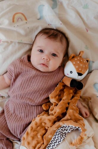 Usínačik babyted Srnček, hryzátko, hrkálka plyš 25 x 25 cm, hnedá