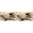 Samolepilna bordura Smoke, 500 x 14 cm