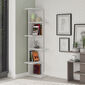 Biblioteca Saso White