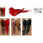 Pasăre pe clip set de 2 buc, maro / roșu , 17 x 5,5 x 4,5 cm