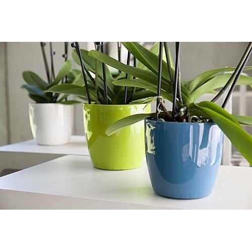 Emsa plastikowa doniczka na storczyki Casa Brilliazelená 16 x 15 cm