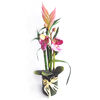Művirág Orchidea és bambusz kompozíció