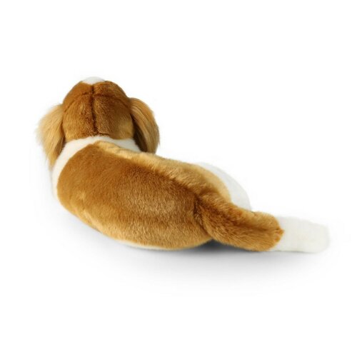 Rappa Pluszowy pies Cavalier King Charles Spaniel 40 cm ECO - PRZYJAZNY