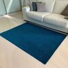 Kusový koberec Eton Lux tyrkysová, 80 x 150 cm