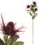 Sztuczny kwiat Eryngium czerwony, 66 cm