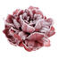 Piwonia na klipsie, pudrowy róż, 14 x 7 x 14 cm