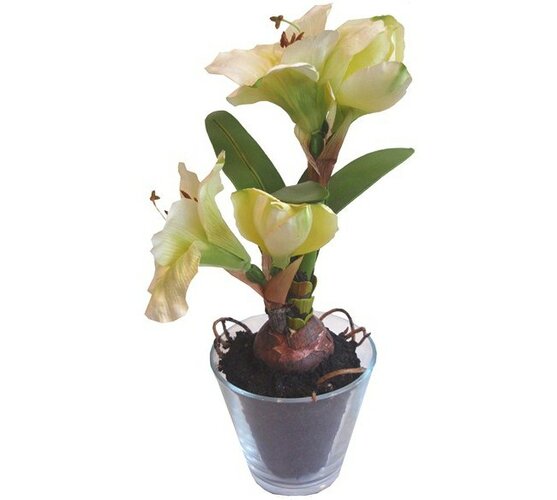 Sztuczny kwiat Amarylis  w szklanej doniczce beżow