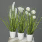 Umělá kvetoucí tráva Ines bílá, 36 cm