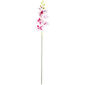 Umělá Orchidej vínová, 86 cm