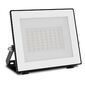 Philips Lois UltraEfficient Outdoor LED FloodLight, 14 W, 2650 lm, 5000 K, IP65