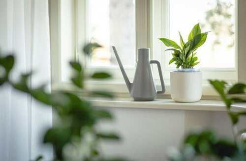 Plastia Selbstbewässernder Pflanzbehälter Tolita Air Creme, 16 cm Durchmesser