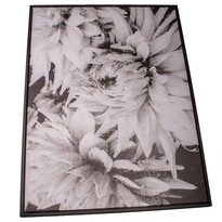 Obraz na plátne v ráme Dahlia, 50 x 70 cm Obraz na plátne v ráme Dahlia, 50 x 70 cm