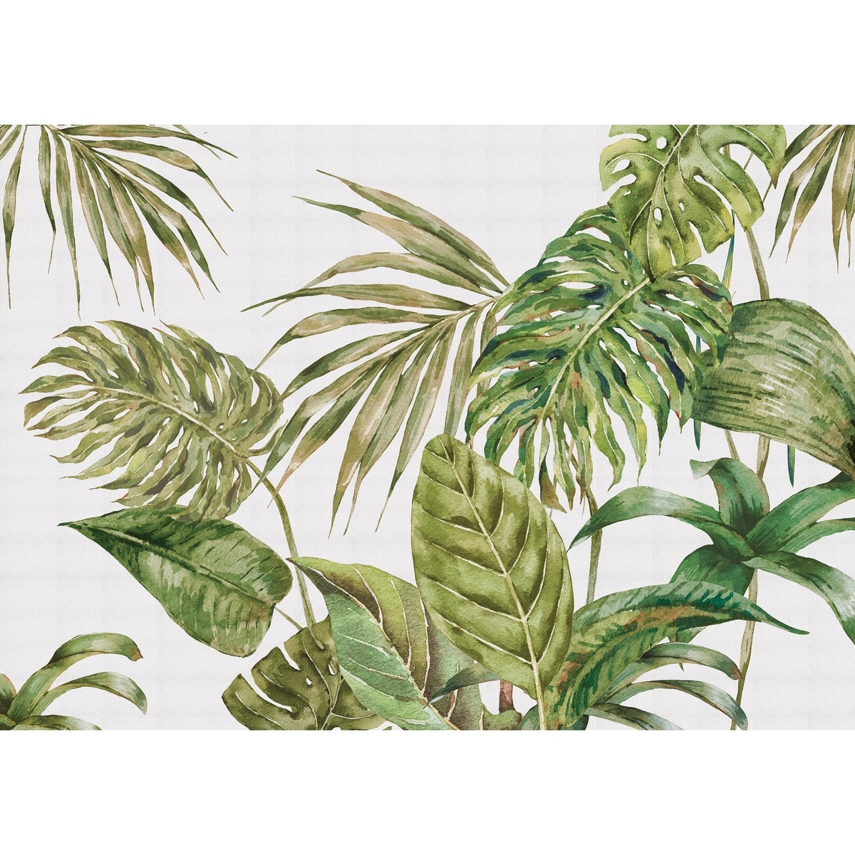 Fototapeta XXL Fern 360 x 254 cm, 4 części