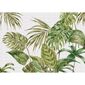 Fototapeta XXL Fern 360 x 254 cm, 4 części