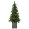 Vánoční stromek Smrk, 180 cm